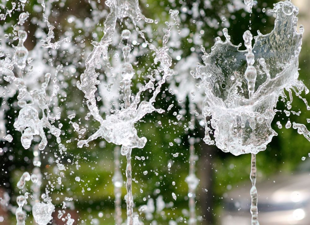 Photograph by Елена Коптева