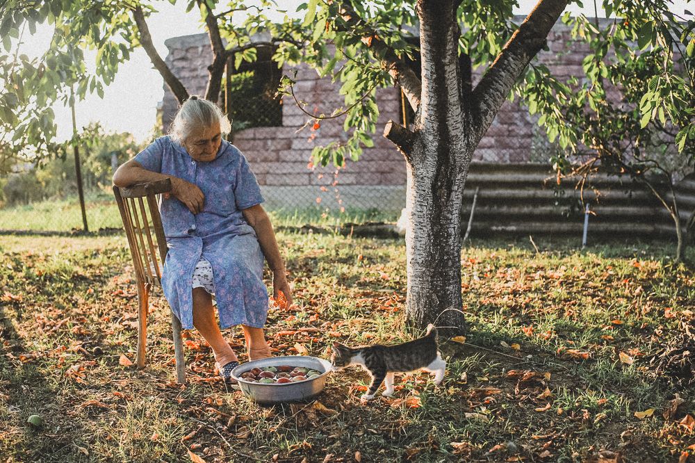 Photograph by Жанна Березовская