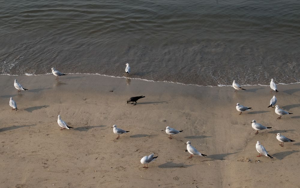 Photograph by Ashish patel