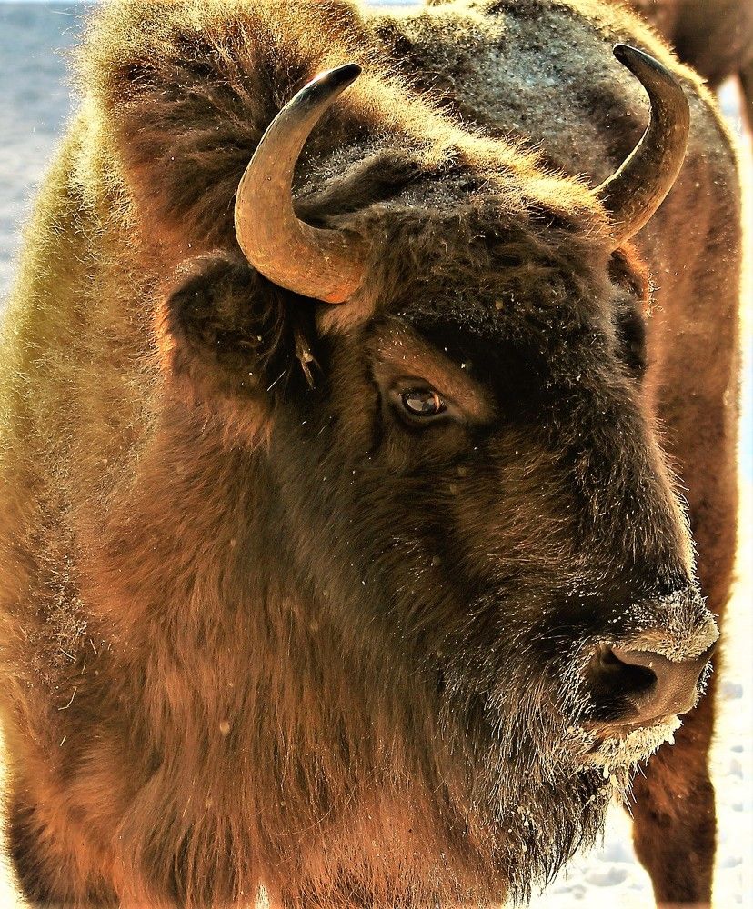 Photograph by Ольга Митрофанова