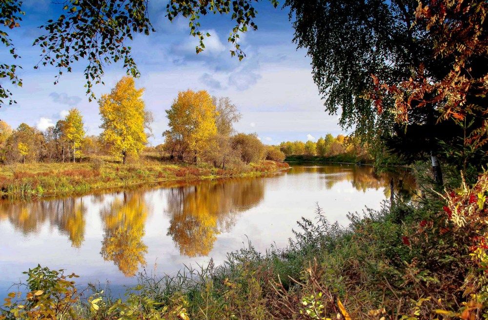 Палитра осени.