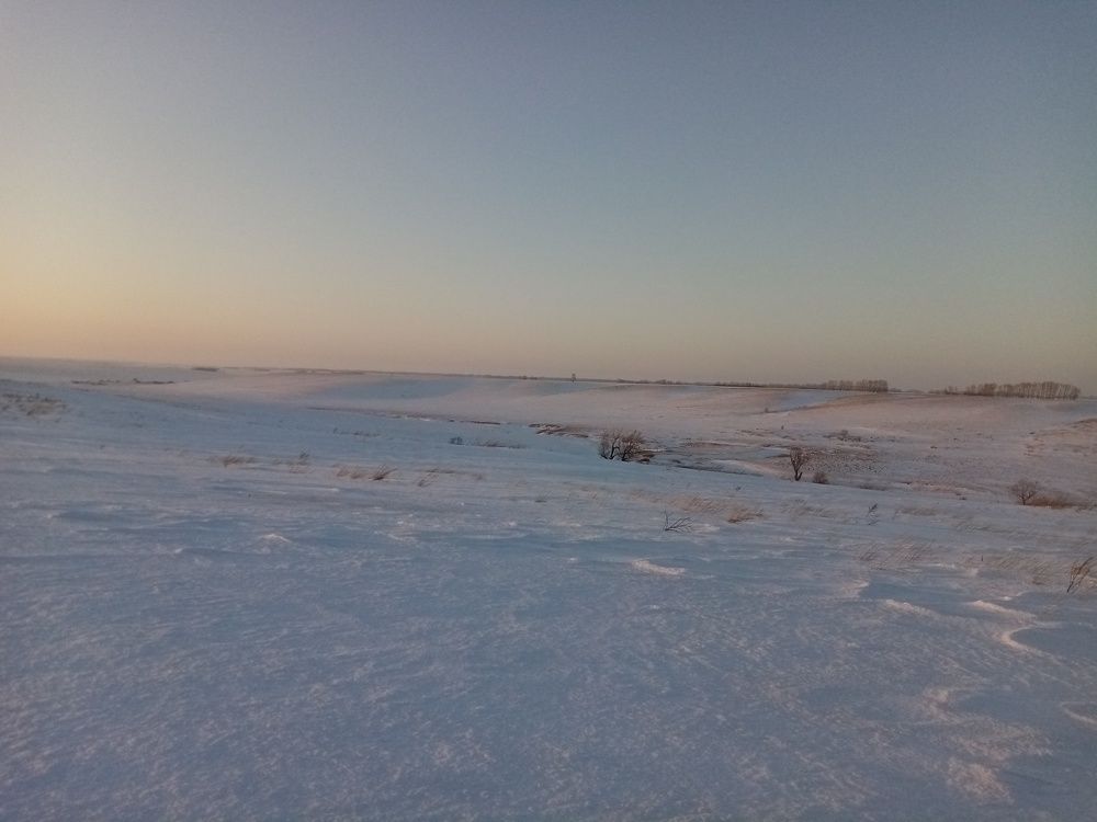 Photo #5827105