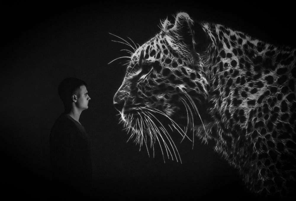 Photograph by Виктория Шумай