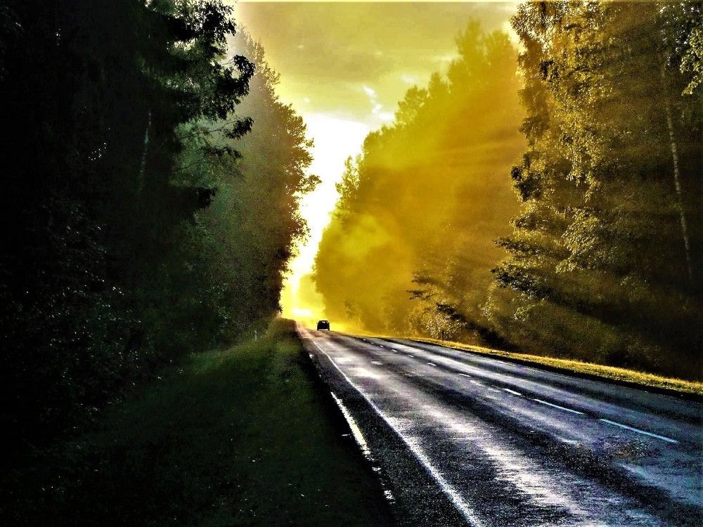 Photograph by TERESA Yurkevich