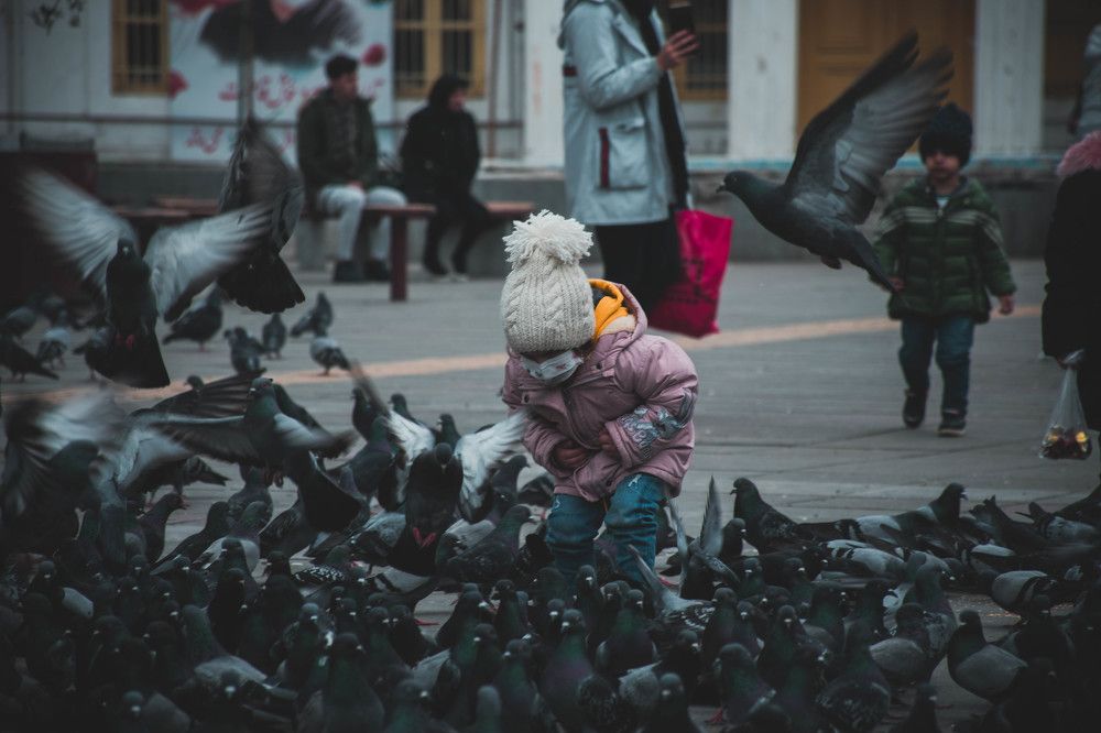 Photograph by reza jafari asl