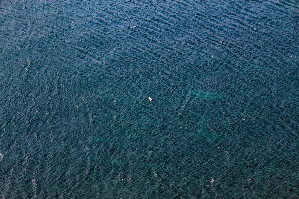 Photograph by Yaroslav Mishin