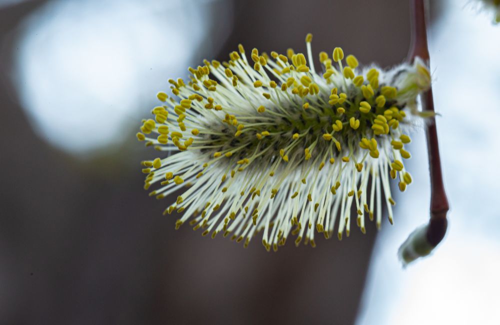 Photograph by Ирина Команова