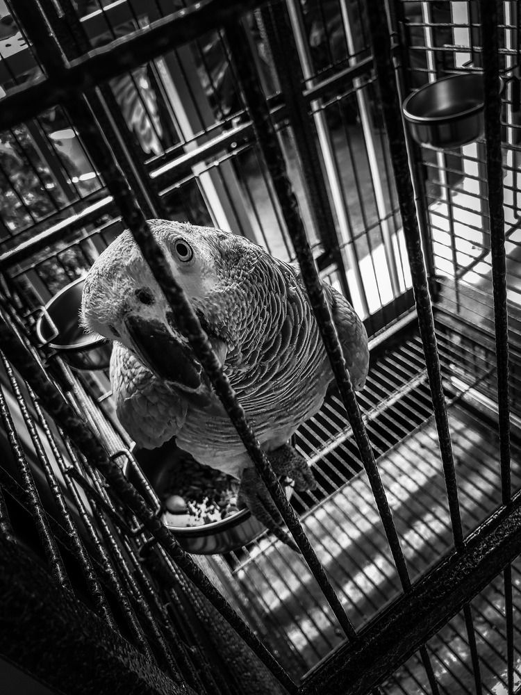 Photograph by Ketsia Samano