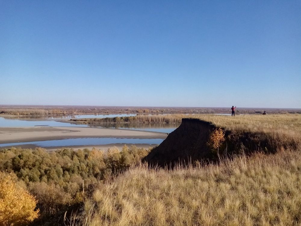 Photo #5827346