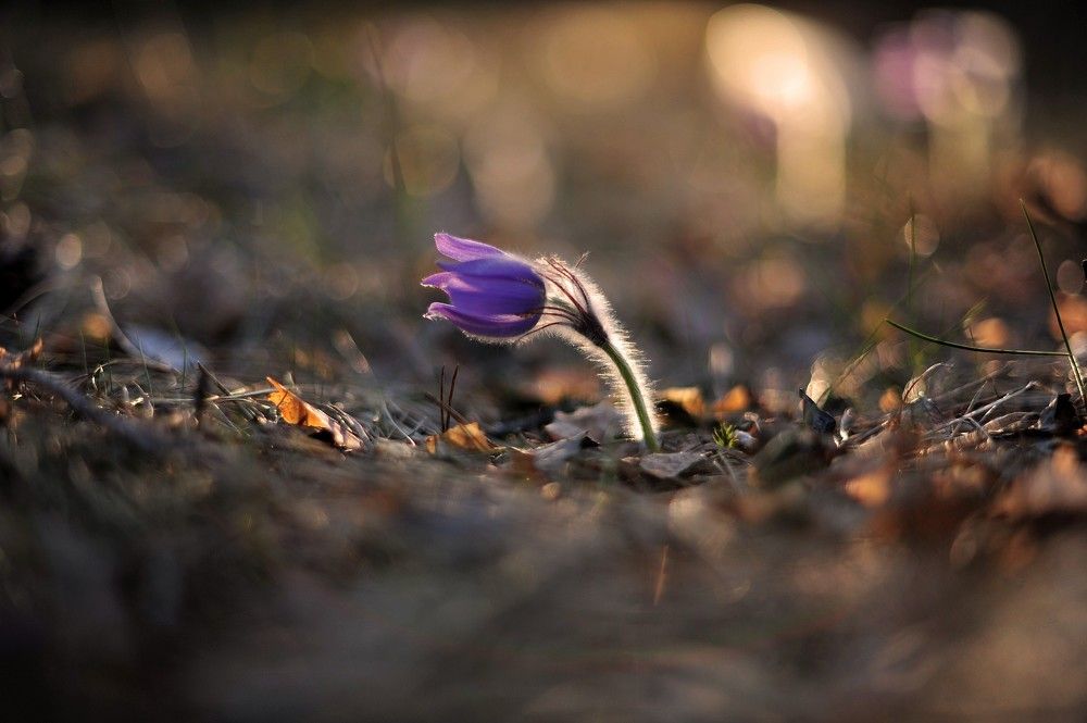 Photograph by Юрий Яковлев