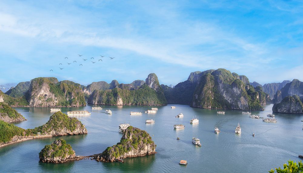 Halong Bay Beauty