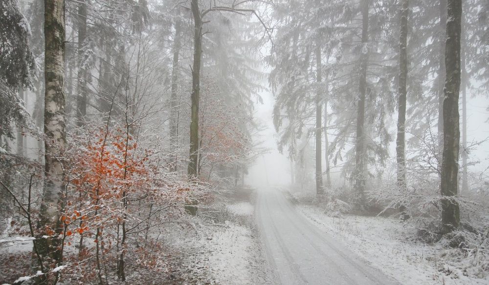Когда туман морозный в гости к нам