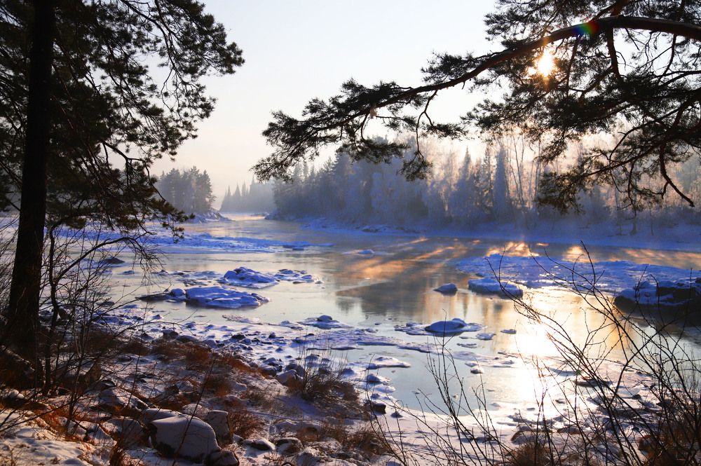 Photograph by Владимир Каверин