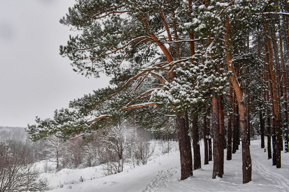 Photograph by Александр Горский