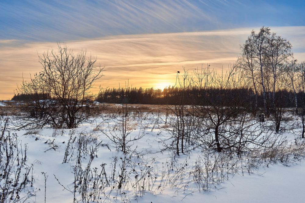 Photograph by Александр Горский