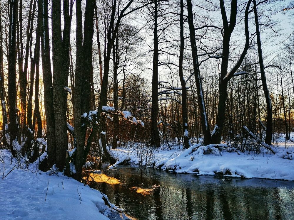 Photograph by Екатерина Ремез