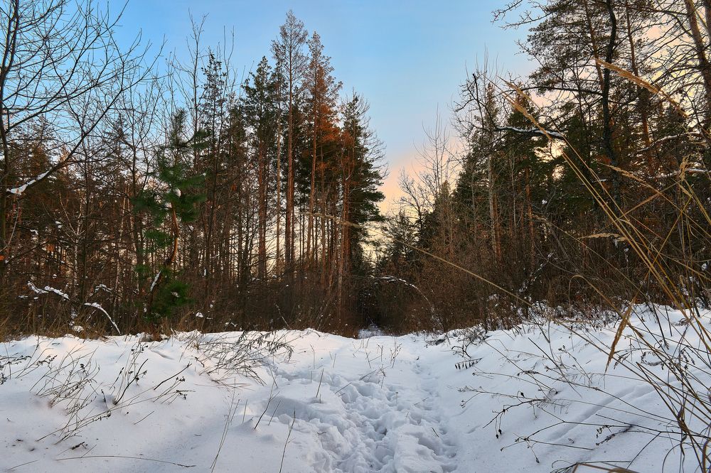 Photograph by Александр Горский