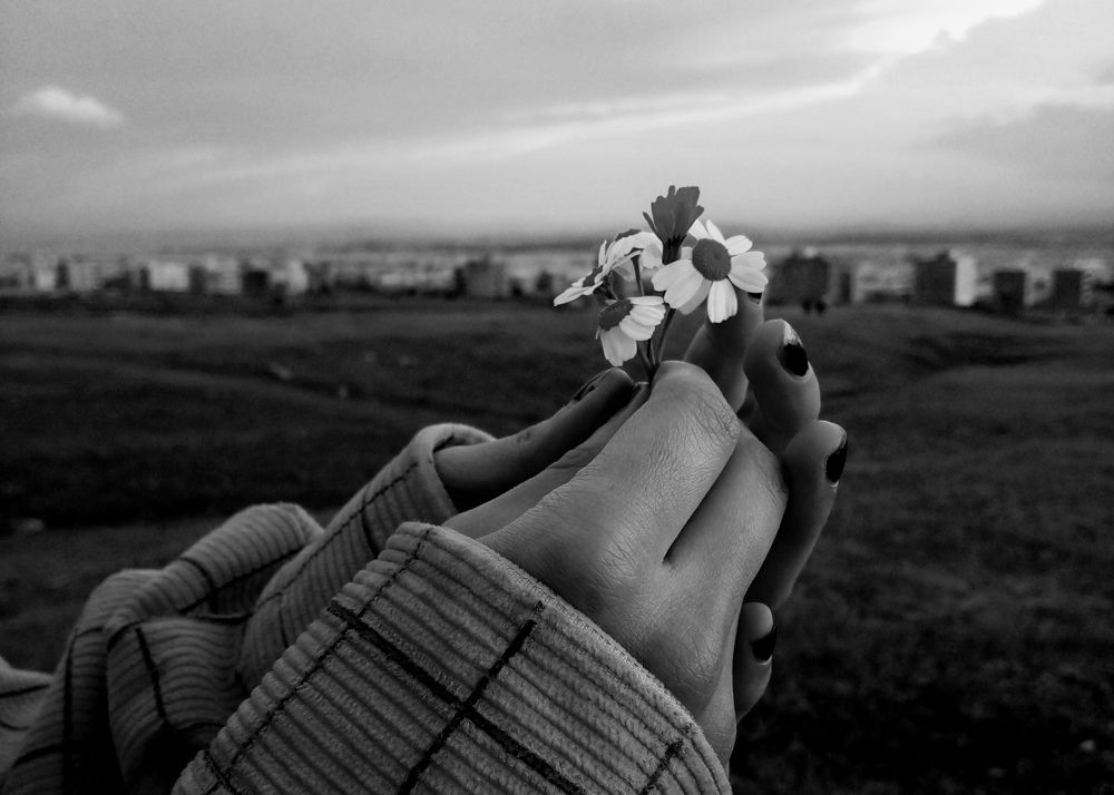 Photograph by niloufar kiyani movahhed