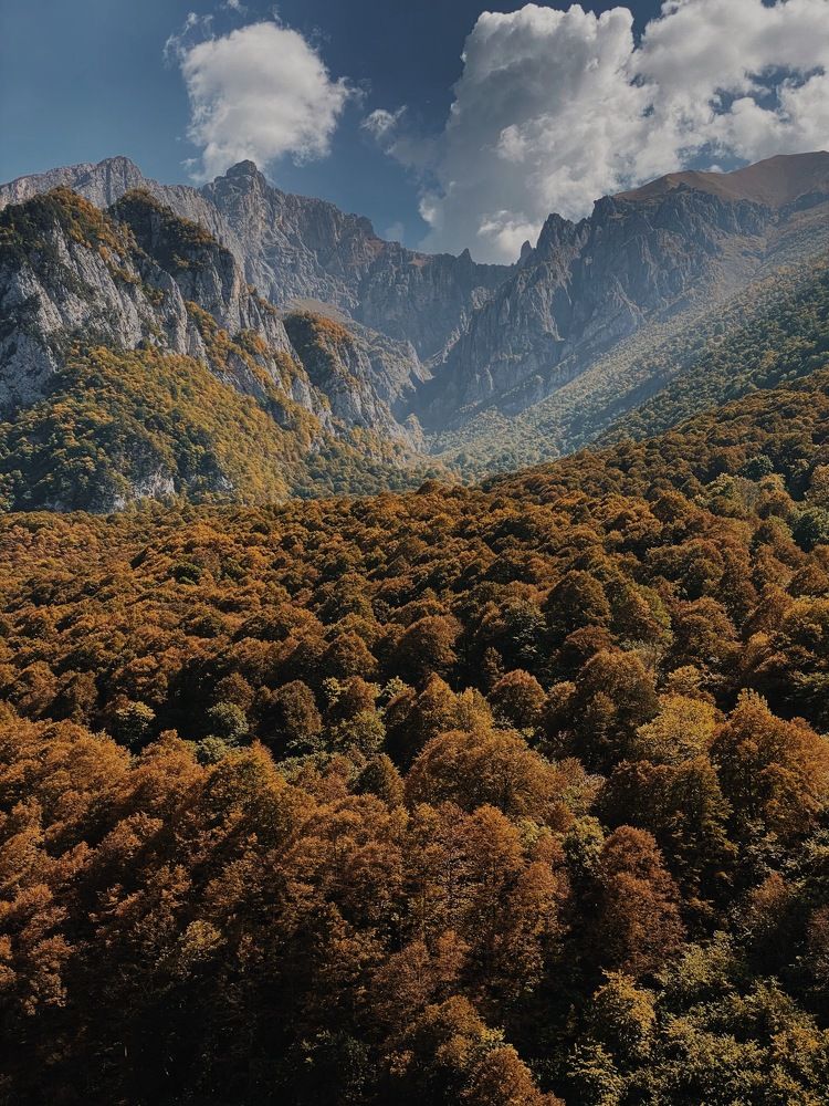 Фотография автора Сергей Фисун