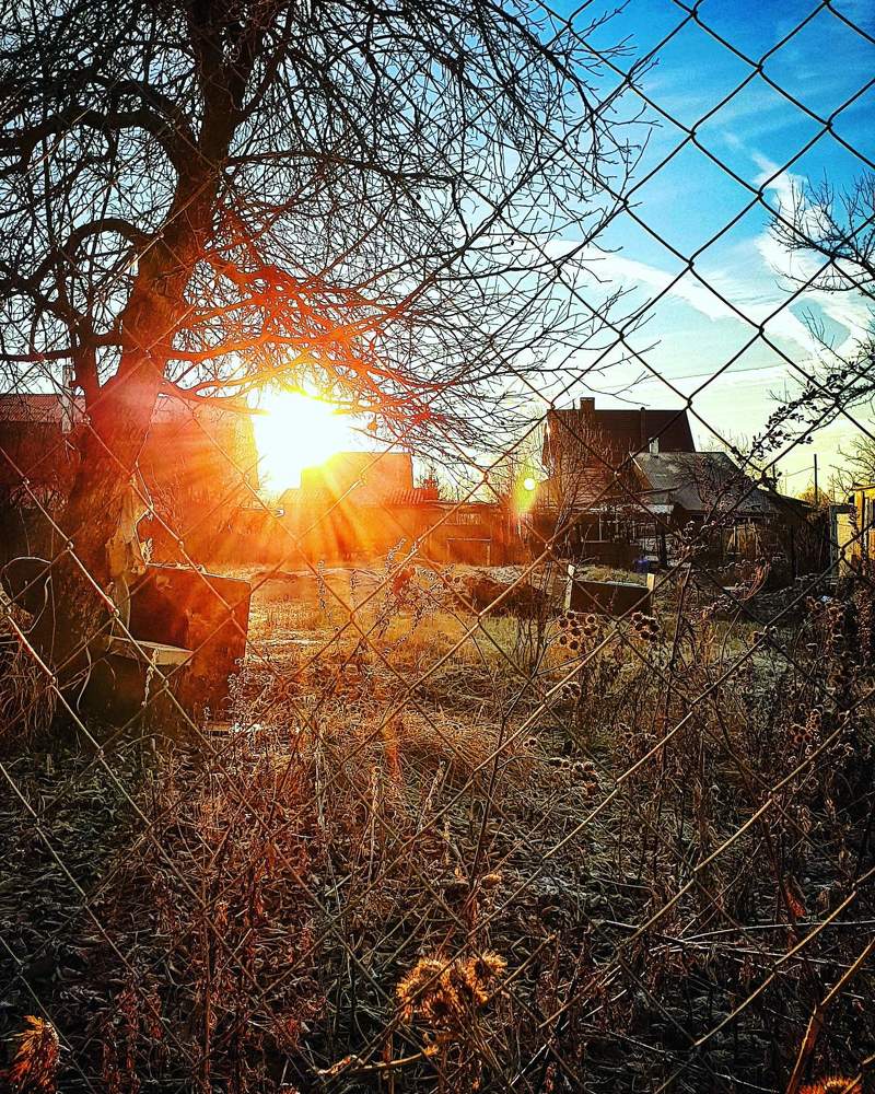 Морозный закат