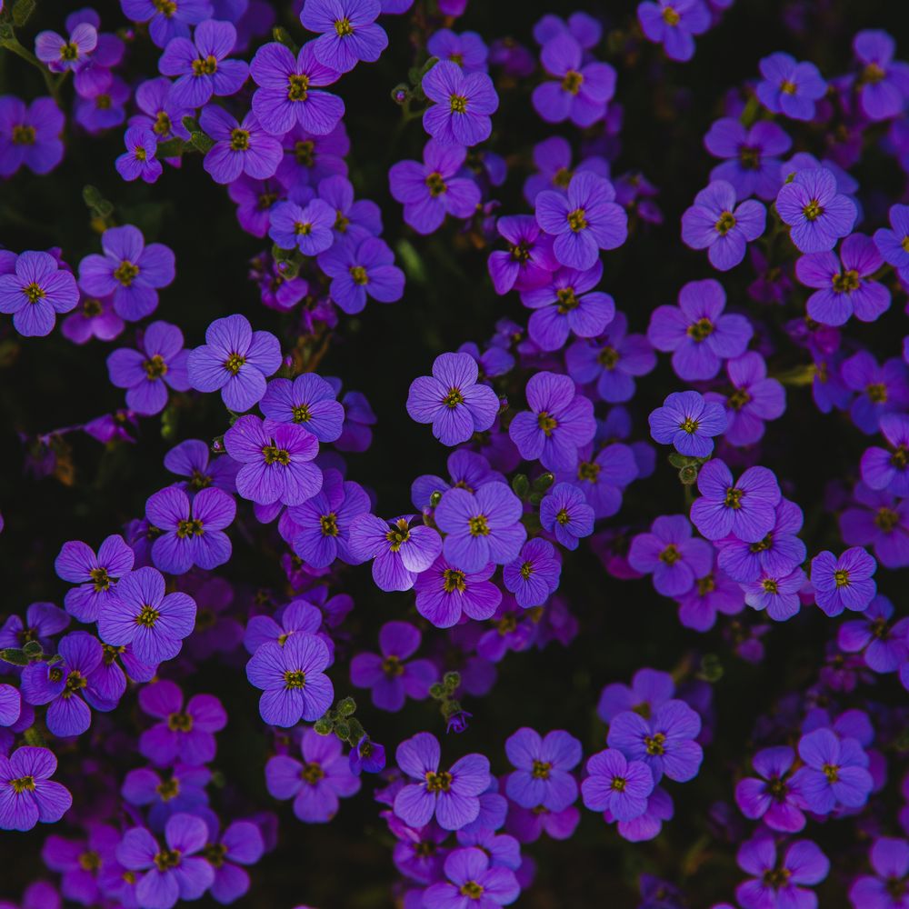 Photograph by Saiva Liepina