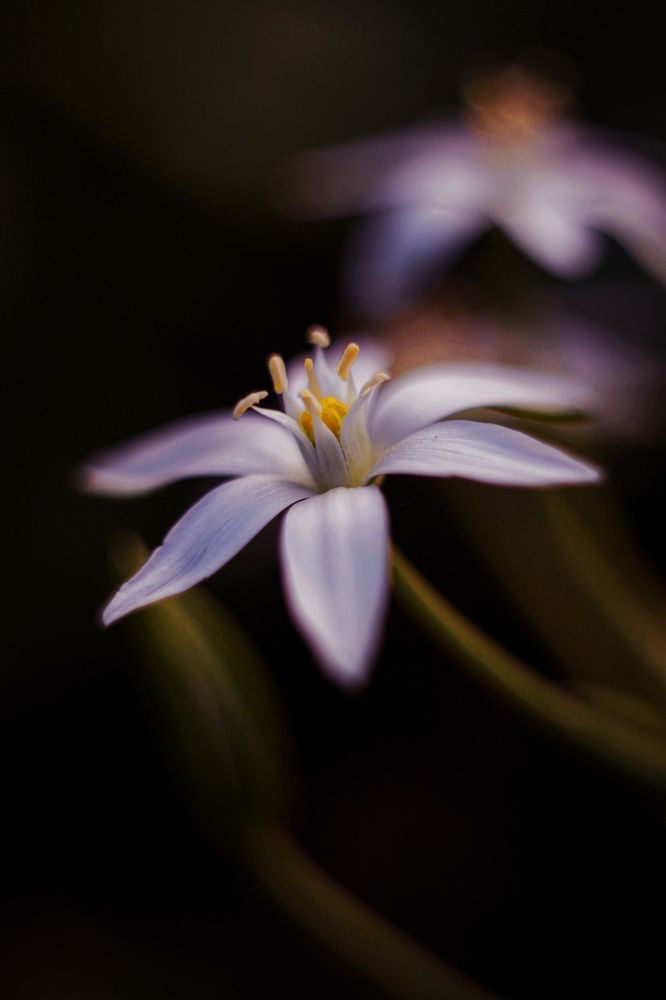 Photograph by Галина Рябикова-Багузова