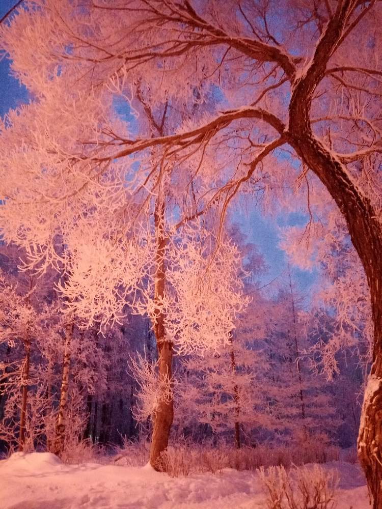 Photograph by Оксана Фурс