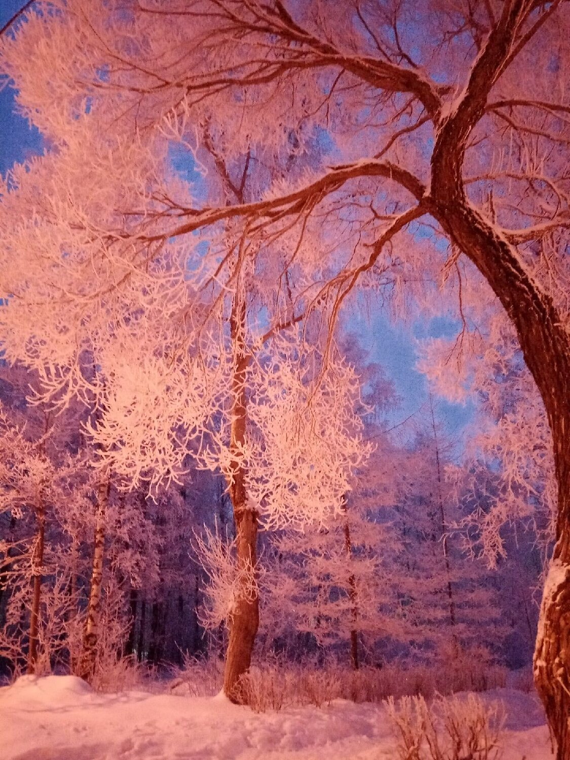 Photo #5827578