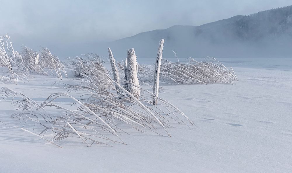 Морозная нежность.