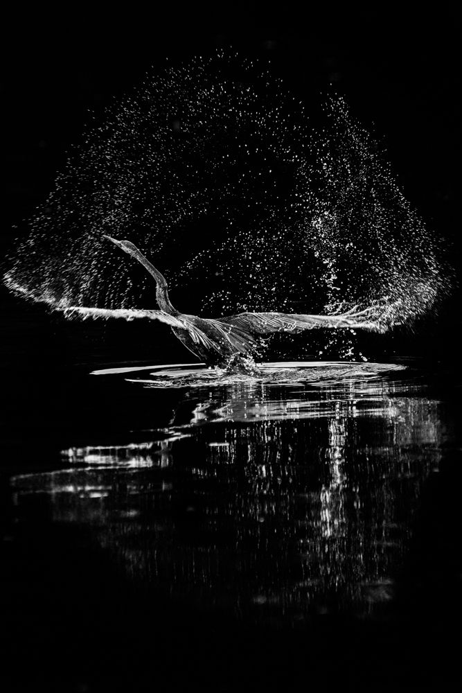 Photograph by Gimantha Perera