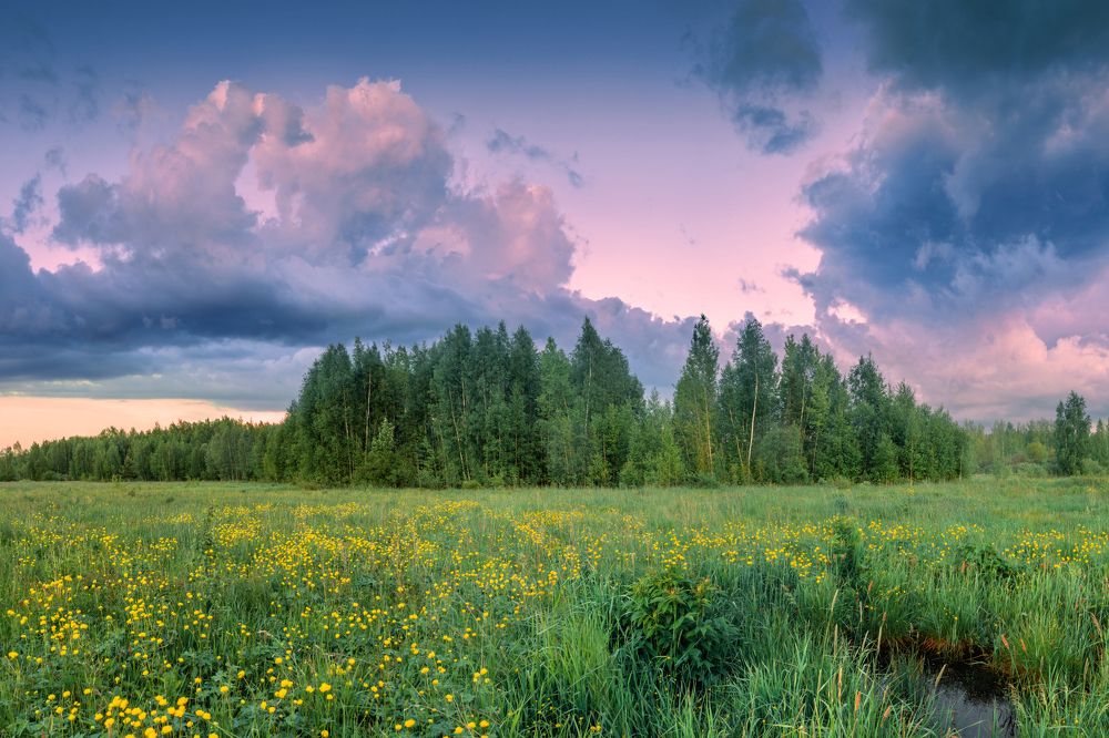 Photograph by Алексей Чистяков