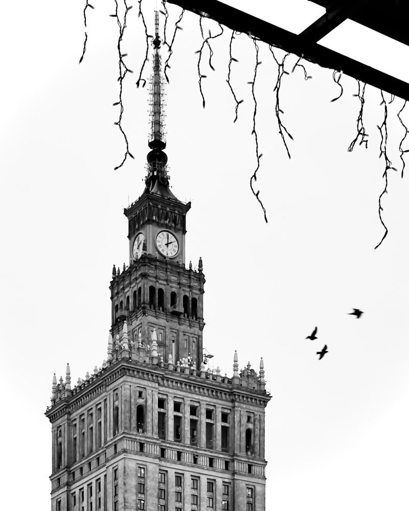 Photograph by Piotr Pyczek