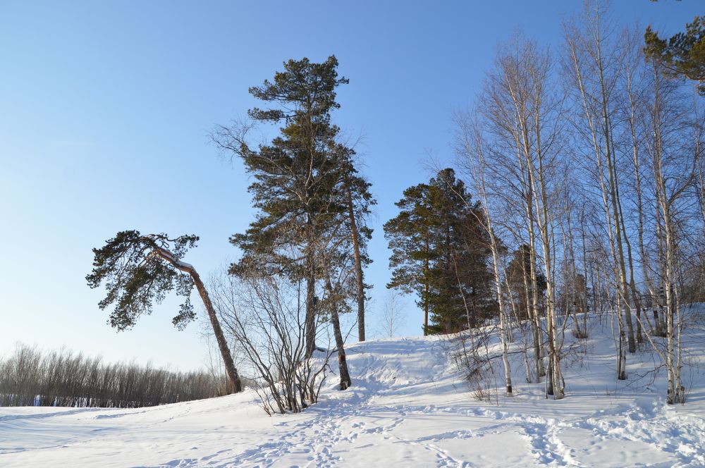 на берегу протоки