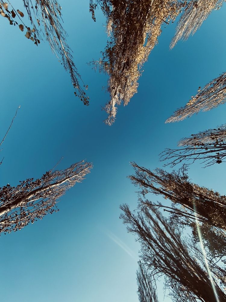 Photograph by Tiago França