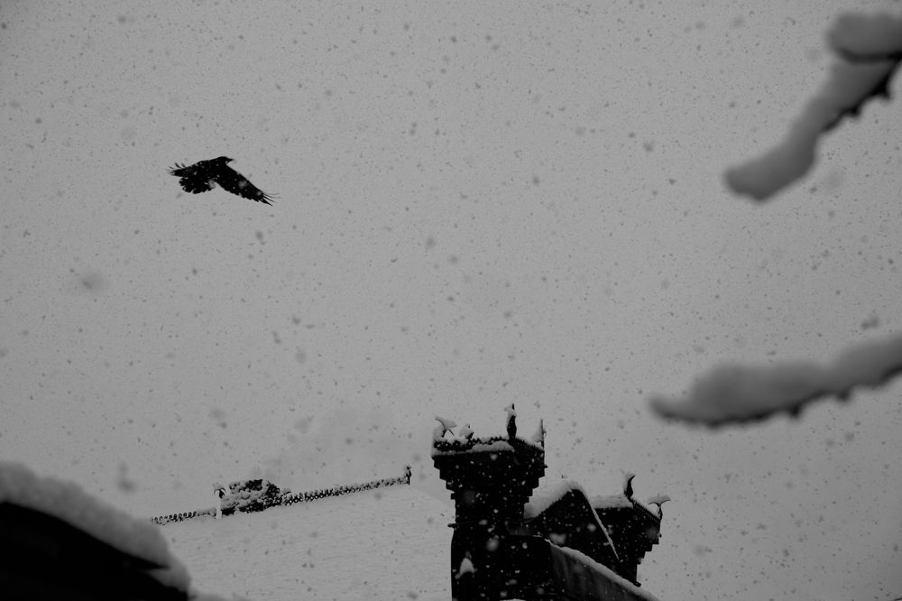 Photograph by Андрей