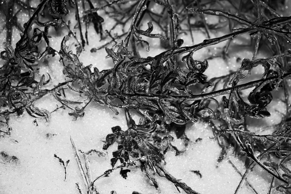 Photograph by Мария Вишневская