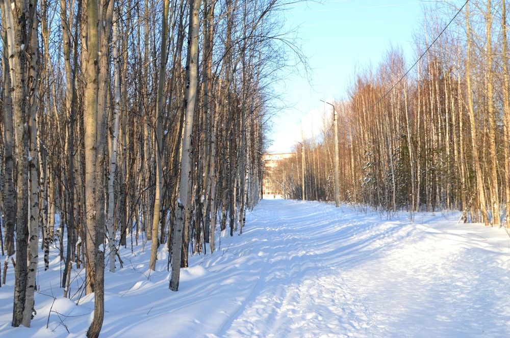 Photograph by Людмила Скочилова