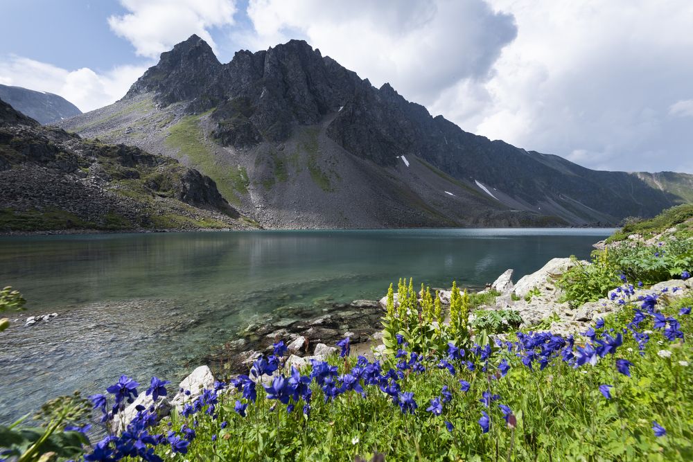 Photograph by Елена Вторушина