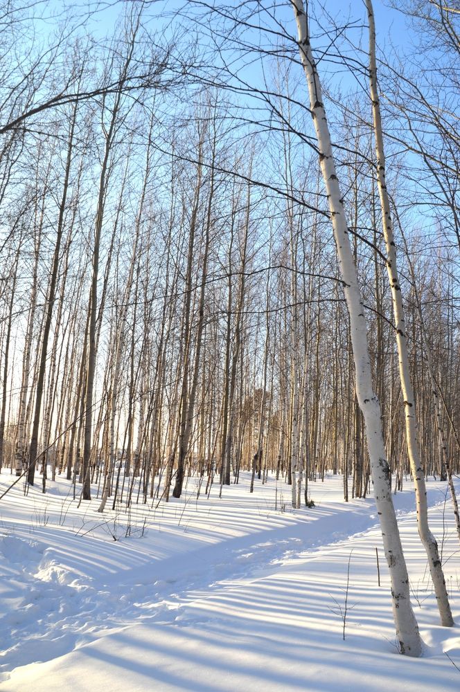 Photograph by Людмила Скочилова