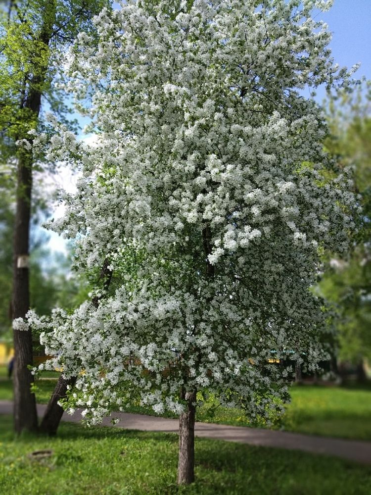 Photograph by Лилия Абрамова