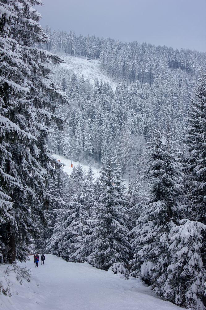 Photograph by Ольга Белостоцкая