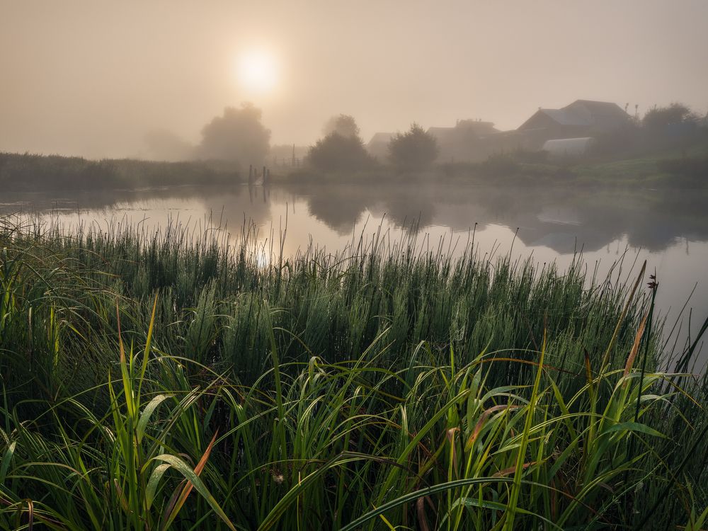 Photograph by Елена Лебедева