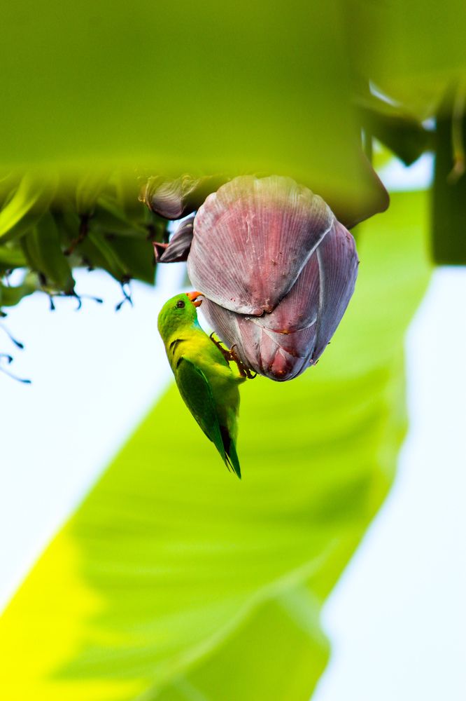 Photograph by Varun Paramashivan