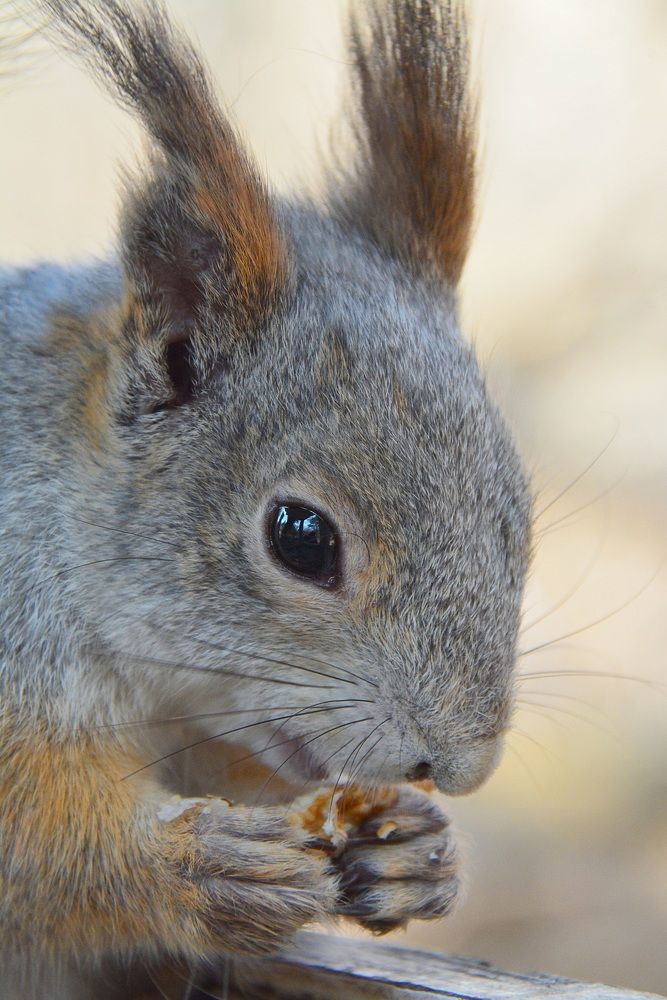 Photograph by Елена Поткина