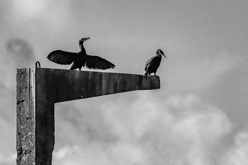 Семейные споры