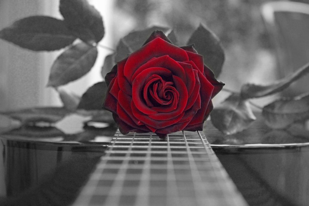 Photograph by Laure Harb