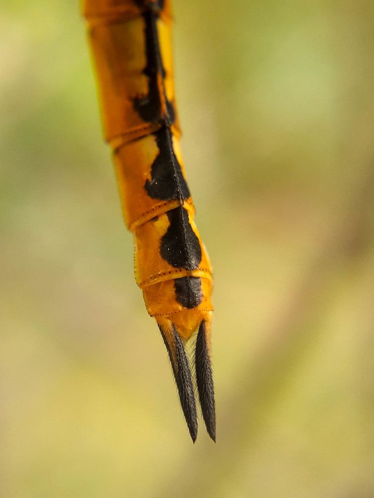 Photograph by Dhaval Solanki