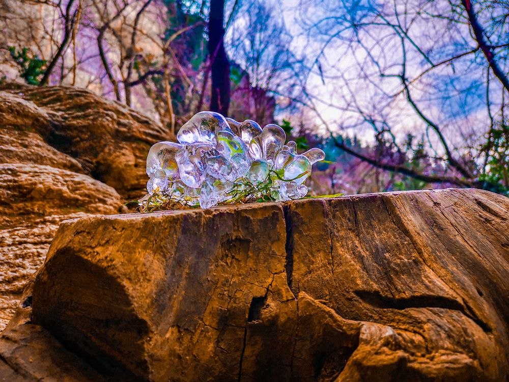 Фотография автора OLEG MOZHEVIN