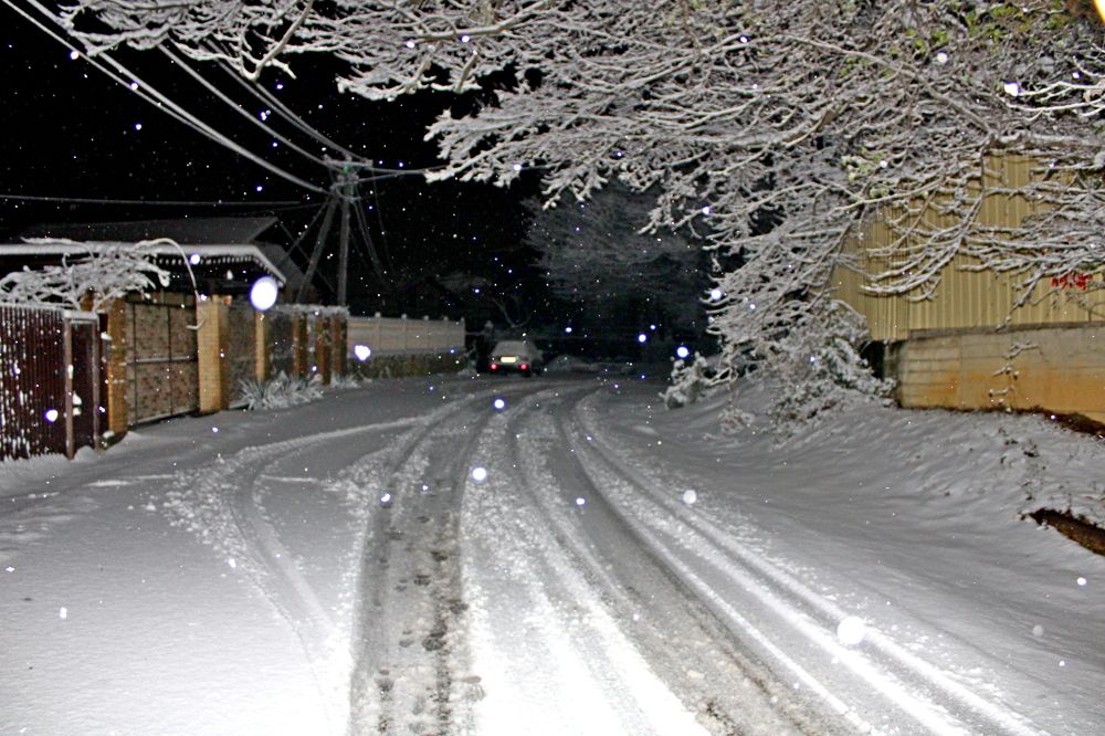 Photograph by Николай Немчанинов