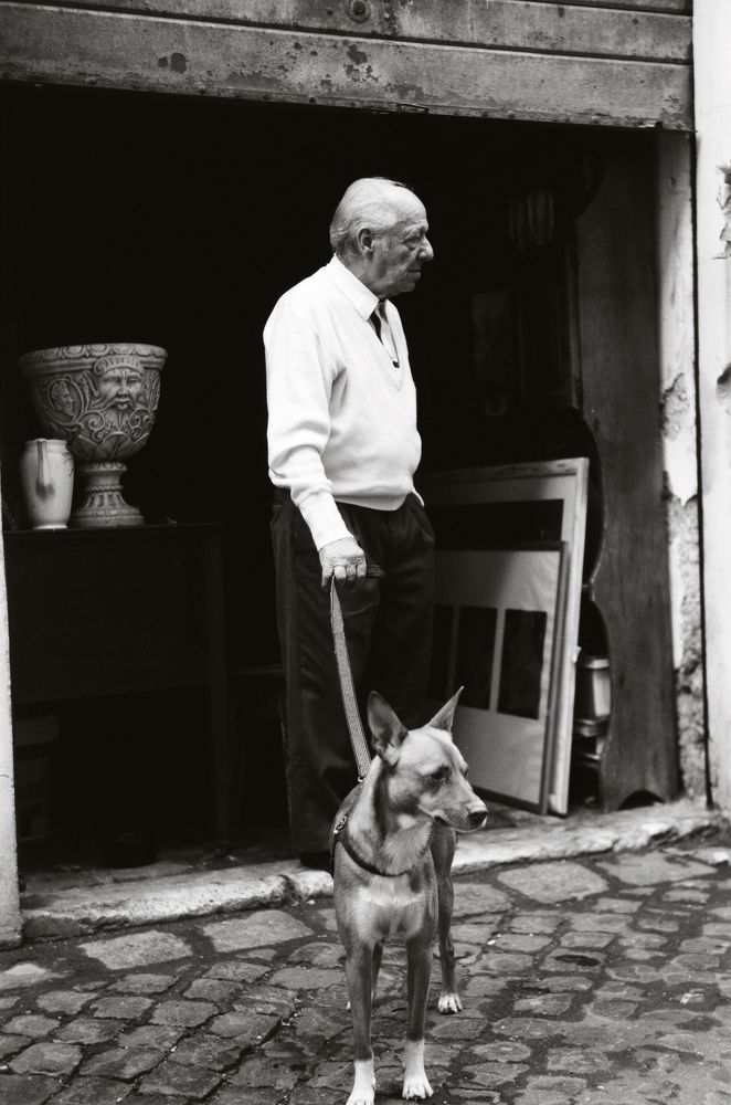 Negozio di antiquariato